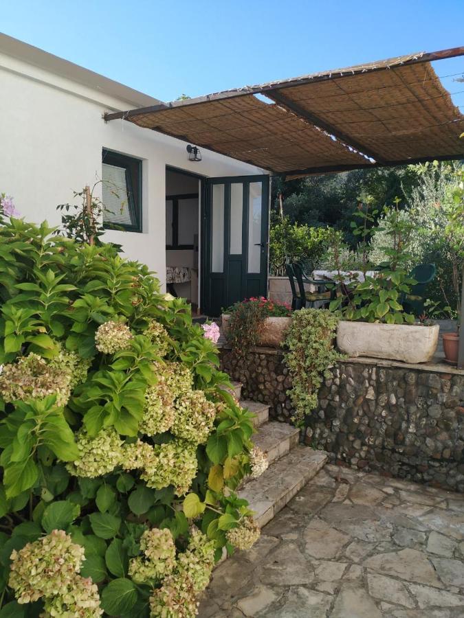 Kjara Apartments Tivat Exterior photo